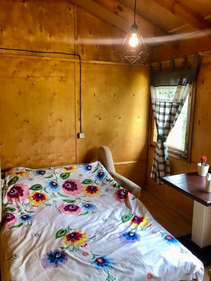 Kaszubski Loft Z Wlasnym Stawem Rybnym Żukowo Εξωτερικό φωτογραφία